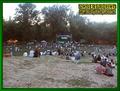 Gallery image 22
