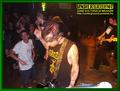 Gallery image 34