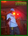 Gallery image 39