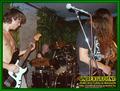 Gallery image 38