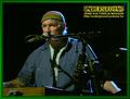 Gallery image 31