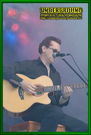 Wayne Hussey