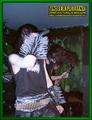 Gallery image 36