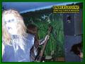 Gallery image 29