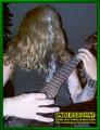 Gallery image 38