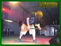 Gallery image 39