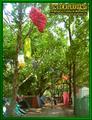 Gallery image 37