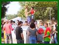 Gallery image 38