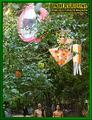 Gallery image 54