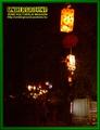 Gallery image 67