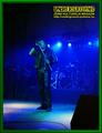 Gallery image 18