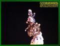Gallery image 29