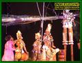 Gallery image 31