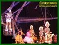 Gallery image 33
