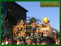 Gallery image 36