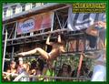 Gallery image 59
