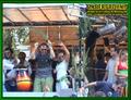 Gallery image 38
