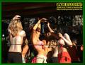 Gallery image 49