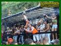 Gallery image 65