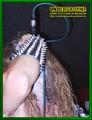 Gallery image 11