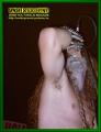 Gallery image 31