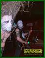 Gallery image 38