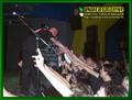 Gallery image 65
