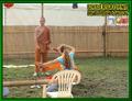 Gallery image 65