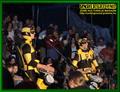 Gallery image 45