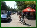 Gallery image 66