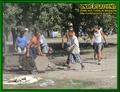 Gallery image 37