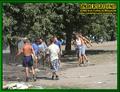 Gallery image 38