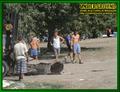 Gallery image 39