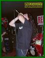 Gallery image 31