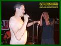 Gallery image 30