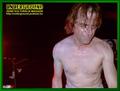 Gallery image 32
