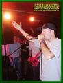 Gallery image 28
