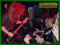 Gallery image 21