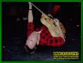 Gallery image 32