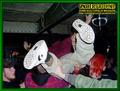 Gallery image 39