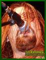 Gallery image 42