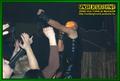 Gallery image 36
