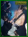 Gallery image 39