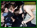 Gallery image 48