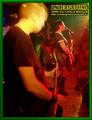 Gallery image 39