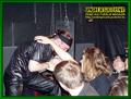 Gallery image 17
