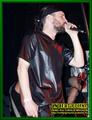 Gallery image 20