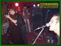 Gallery image 46