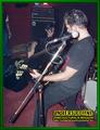 Gallery image 69