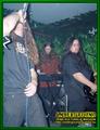 Gallery image 39
